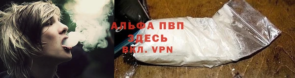 Альфа ПВП Майский