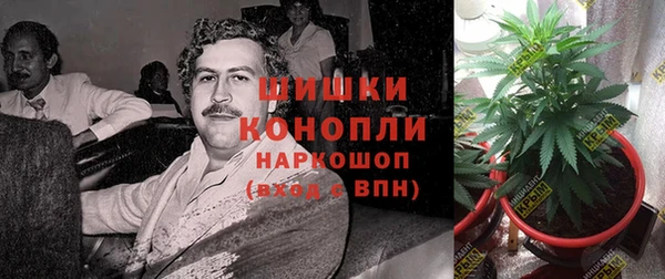 метадон Новоузенск