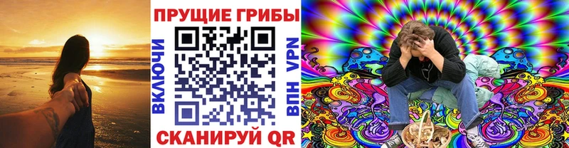 сколько стоит ОМГ ОМГ рабочий сайт Псилоцибиновые грибы мухоморы Норильск
