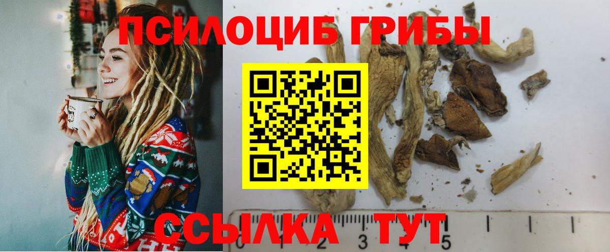 Псилоцибиновые грибы Magic Shrooms Норильск