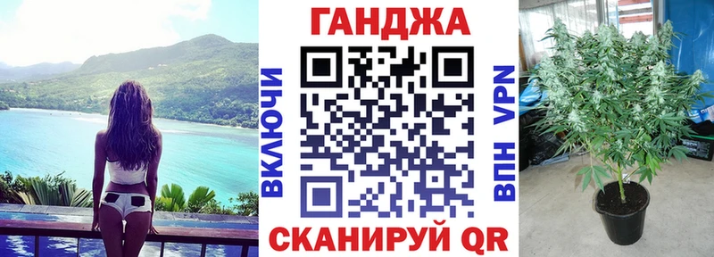 Конопля гибрид  Норильск 
